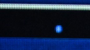 Bad Bunny nuevo Rey del Pop