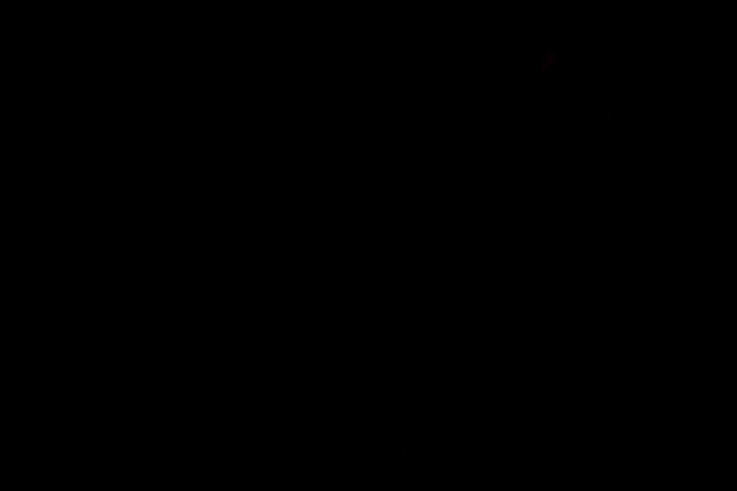 Bad Bunny fue acusado en Perú de evasión de impuestos.