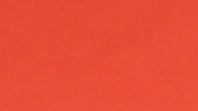 Nadia Ferreira y Marc Anthony protagonizaron un romántico momento