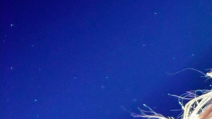 Shakira reacciona a la nueva versión de 'Waka Waka'.