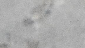 Shakira se enfrentó a la justicia española el pasado lunes 20 de noviembre.