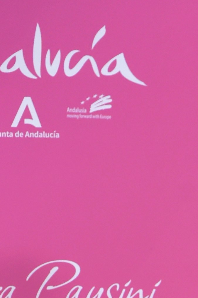 Danna Paola en la alfombra roja del homenaje de Laura Pausini.