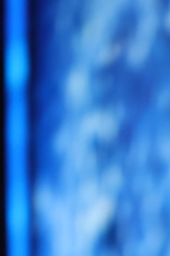 Diana Silva, Miss Venezuela en el Miss Universo 2023.