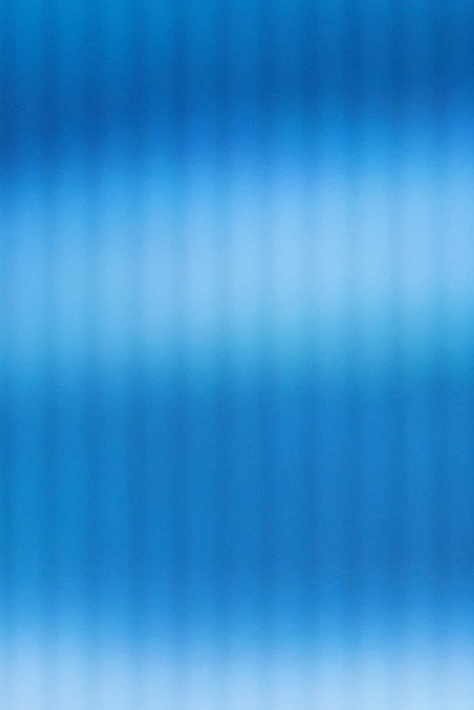 Erica Robin es la primera mujer en representar a su país en el Miss Universo.