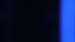 Melissa Flores desmintió robo