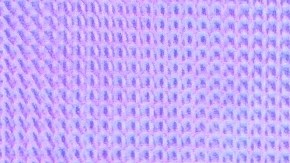 Sheynnis Palacios logró ser la primera nicaragüense en convertirse en Miss Universo