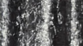 Look del Día: Beyoncé cambió su característico rubio por un platinado