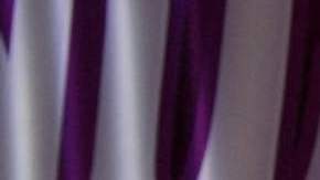 Nicola Porcella, actor peruano.