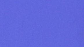 Rafael Araneda, presentador chileno de televisión.