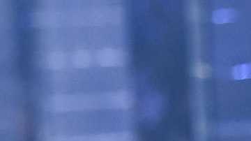 Tekashi 6ix9ine, rapero estadounidense.