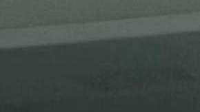 Yailin La Más Viral