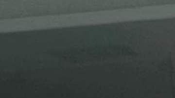 Yailin La Más Viral