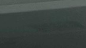 Yailin La Más Viral, cantante dominicana.