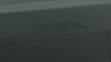 Yailin La Más Viral, cantante dominicana.