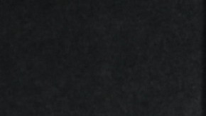 Adamari López y Alaïa vuelven a estar juntas luego de varias semanas separadas.