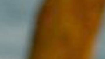 Elizângela interpretó a Noêmia en la versión brasilera de El Clon.