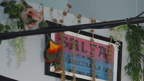 Fuerza Regida hizo un millonario regalo a sus empleados