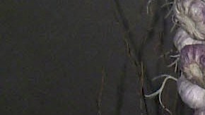 Matías Novoa y Michelle Renaud se casaron