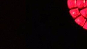 'RBD' inició su gran gira este 2023 por gran parte de Latinoamérica y Estados Unidos.