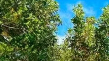 Alemán, el rapero mexicano está envuelto en escándalo de violencia doméstica (+FOTOS)