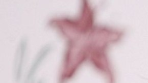 El actor Matthew Perry en la novena cena anual en beneficio de la Fundación Lili Claire en el Hotel Beverly Hilton el 14 de octubre de 2006 en Beverly Hills, California.