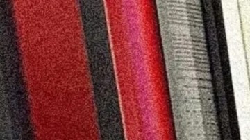 Filtran foto de Yailin La Más Viral tras ser detenida en Miami: esto se sabe de su situación legal