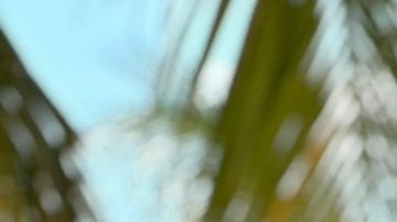 Kimberly Loaiza confiesa que la infidelidad de Juan de Dios Pantoja fue “marketing” y anuncia su retiro