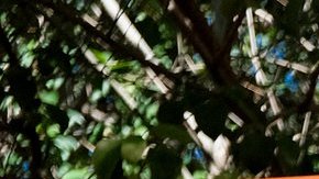 Mariana Rodríguez: De influencer a precandidata a la alcaldía de Monterrey