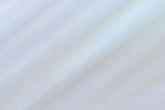 Celine Dion en la Met Gala 2019, antes del anuncio de su enfermedad