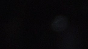 Luis Miguel canceló su concierto