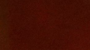 Nadia Ferreira posee un gran talento para el canto.