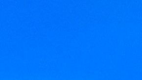 Nadia Ferrira fue primera inalista del Miss Universo 2021