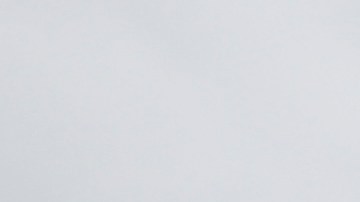 Vin Diesel acusado de agredir sexualmente a su asistente.