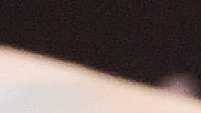 Shakira celebró la inauguración de su estatua en Barranquilla.