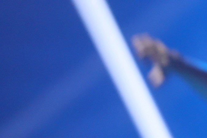 Peso Pluma tendría una amistad con un violento sicario.