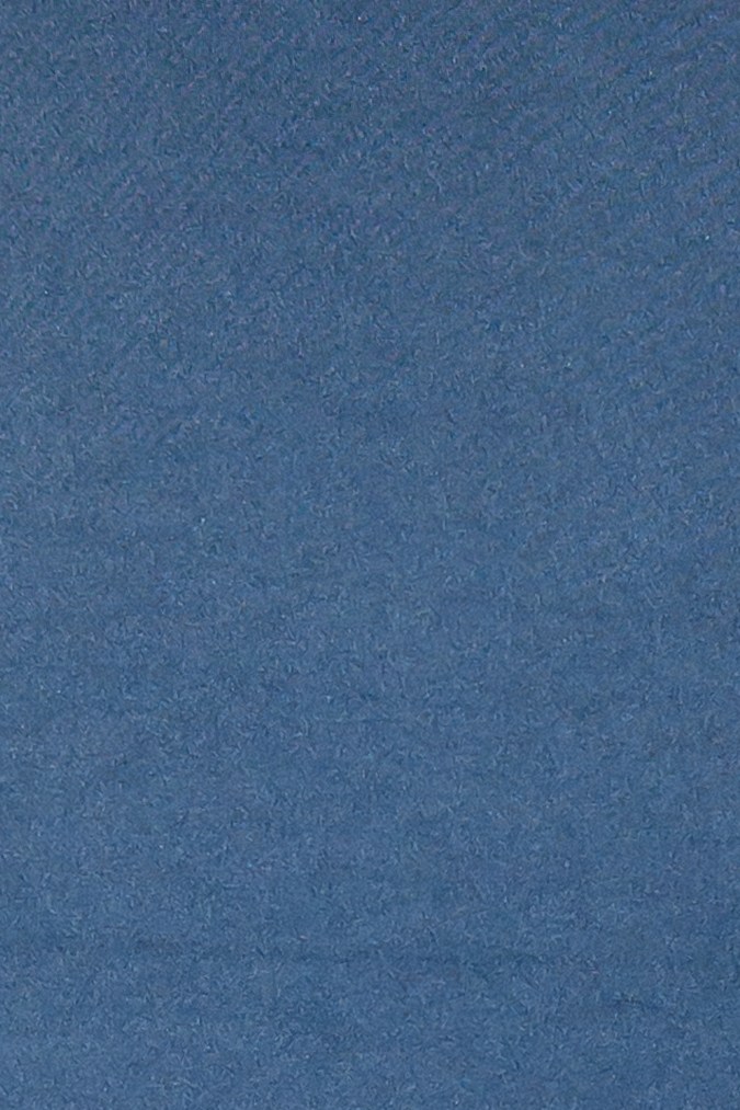 Nadia Ferreira y Marc Anthony asistieron a la gala de la fundación, Maestro Cares.