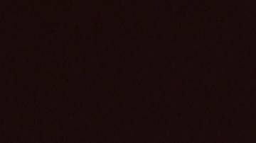 ¿Por qué 'Poor Things' es una película que no te puedes perder?