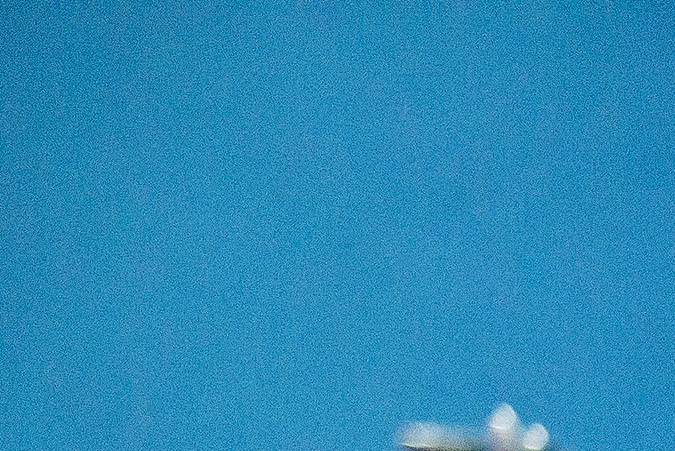 Taylor Swift ha sido considerada como una de las artistas más influyentes de la industria.