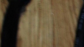 Queta Lavat falleció a los 94 años de edad.