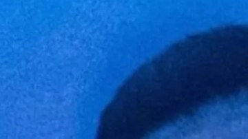 Tekashi 6ix9ine estrenará proyecto mientras “desaparece” Yailin “La Más Viral”