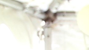 Toni Costa y Adamari López se separaron en 2021.