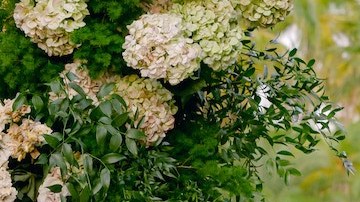 Diversos artistas latinos decidieron unir sus vidas en matrimonio este 2023.