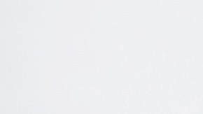 Marc Anthony y Nadia Ferreira se casaron al poco tiempo de confirmar su romance.