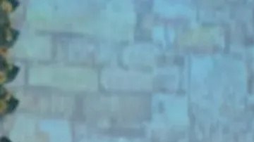 El cantante se desplomó en el escenario y falleció. Créditos: Pedro Henrique (@pedrohenrique.oficial en Instagram)