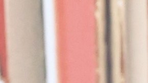 Selena Gomez rinde homenaje a sus raíces mexicanas.