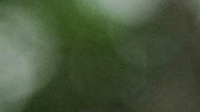 Shakira y Carlos Vives han demostrado ser más que colegas, son grandes amigos.