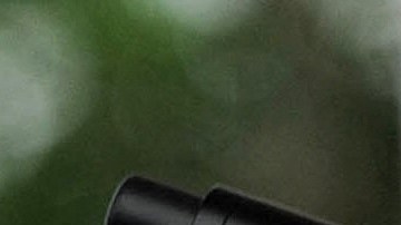 Shakira y Carlos Vives han demostrado ser más que colegas, son grandes amigos.