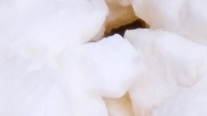 Guía completa de las series canceladas en Netflix en 2023