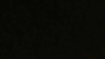 La carrera al Oscar 2024 ya comenzó: calendario de la temporada de premios