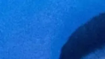 Yailin 'La Más Viral' y Tekashi 69 vistos juntos en una disco de Miami.